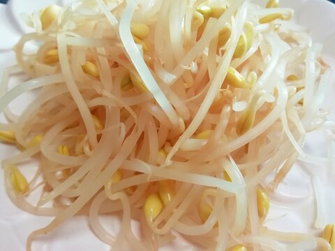 【韓国料理】豆もやしのナムル